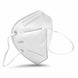 KN95 Face Mask (Pack of 5)