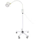 Medical LED Examination Lamp