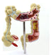 Human intestine and colon anatomy model showing internal anatomical structure